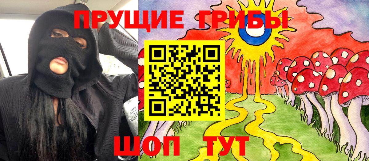 Новосибирск  Галлюциногенные грибы мухоморы  Вход с VPN  Псилоцибиновые грибы Psilocybe 